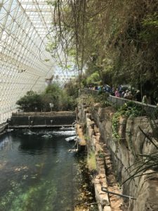 A bridge and water